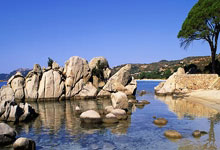 数码科技有限公司成立